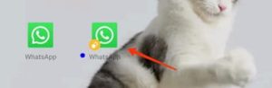Ek फोन में दो WhatsApp कैसे चलाए?